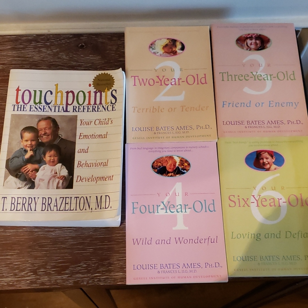 COPY - COPY - Parenting Books Lot of 5